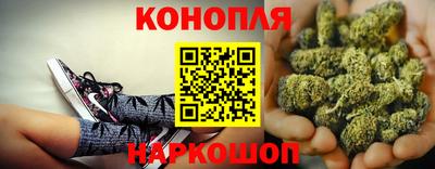 гашик Бузулук