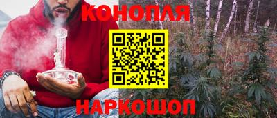 гашик Бузулук